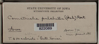 Image Associated With the Occurence